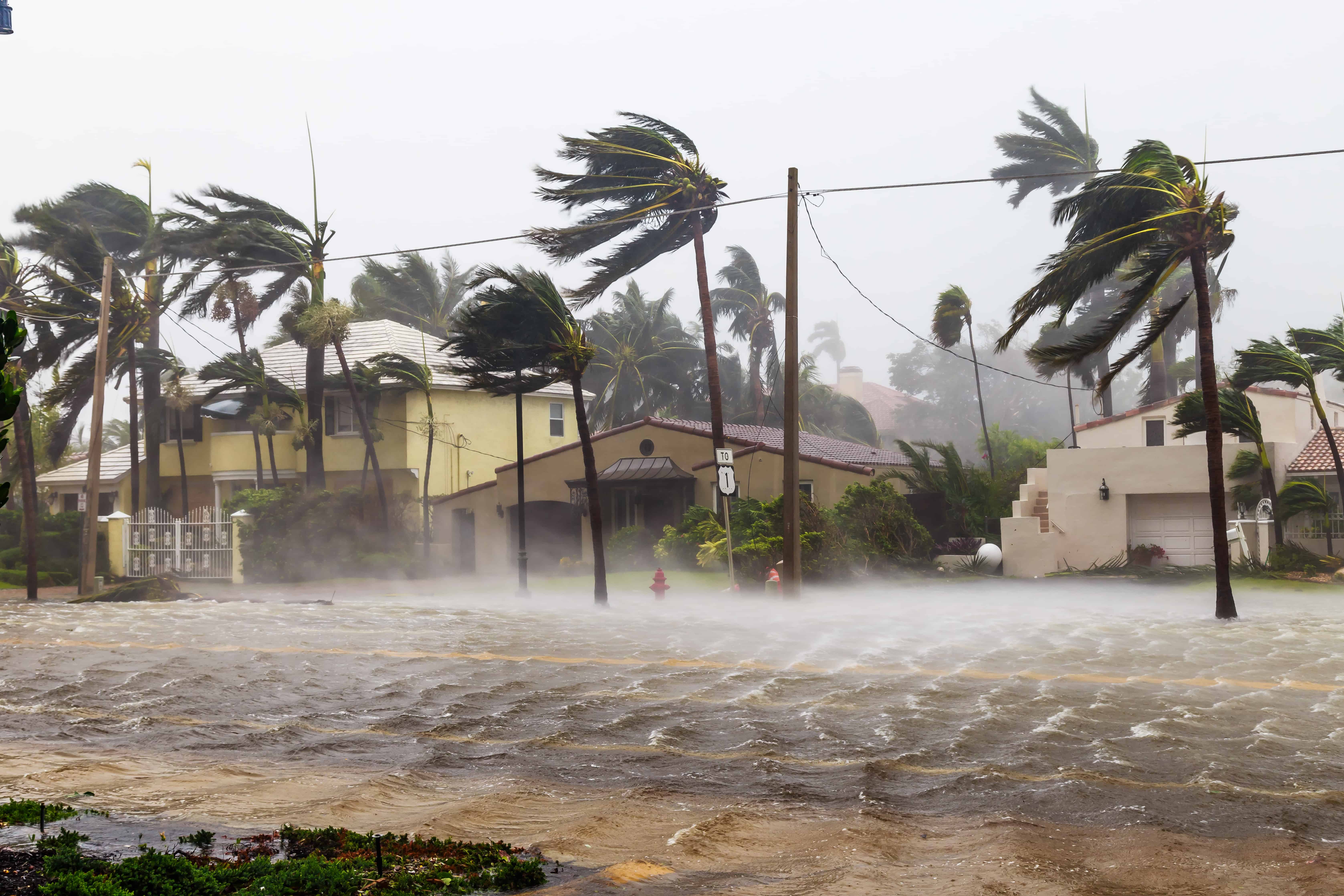 storm and winds on a flooded street
